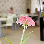 Hotel Cova Da Iria 3*