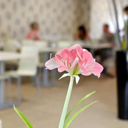 Hotel Cova Da Iria 3*