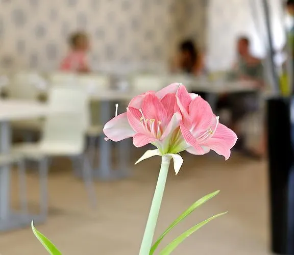 Hotel Cova Da Iria 3*