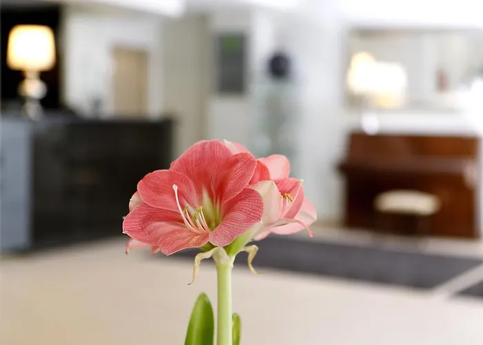 Cova Da Iria 3* Fatima